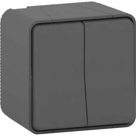 Выключатель 2-клавишный Schneider Electric MUR40914